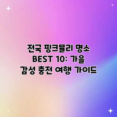 전국 핑크뮬리 명소 BEST 10: 가을 감성 충전 여행 가이드