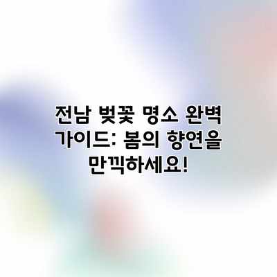 전남 벚꽃 명소 완벽 가이드: 봄의 향연을 만끽하세요! 전남 벚꽃 명소 완벽 가이드: 봄의 향연을 만끽하세요!