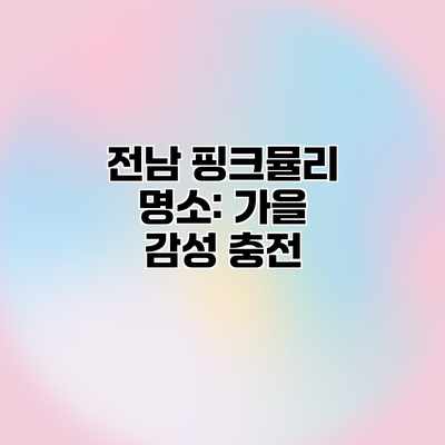 전남 핑크뮬리 명소: 가을 감성 충전 전남 핑크뮬리 명소: 가을 감성 충전