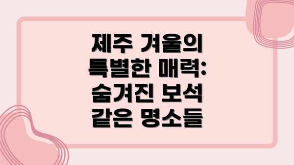 제주 겨울의 특별한 매력: 숨겨진 보석 같은 명소들