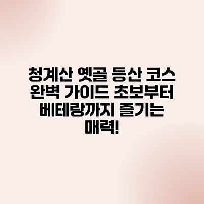청계산 옛골 등산 코스 완벽 가이드: 초보부터 베테랑까지 즐기는 매력! 청계산 옛골 등산 코스 완벽 가이드: 초보부터 베테랑까지 즐기는 매력!