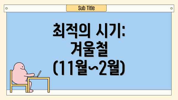 최적의 시기: 겨울철 (11월~2월)
