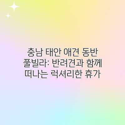 충남 태안 애견 동반 풀빌라: 반려견과 함께 떠나는 럭셔리한 휴가 충남 태안 애견 동반 풀빌라: 반려견과 함께 떠나는 럭셔리한 휴가