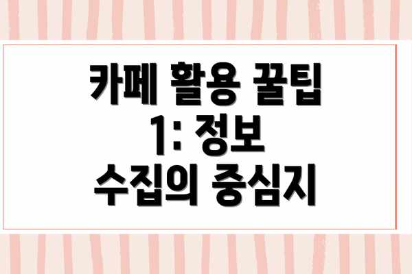 카페 활용 꿀팁 1: 정보 수집의 중심지