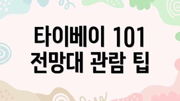 타이베이 101  전망대 관람 팁