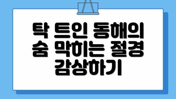 탁 트인 동해의 숨 막히는 절경 감상하기