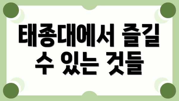태종대에서 즐길 수 있는 것들