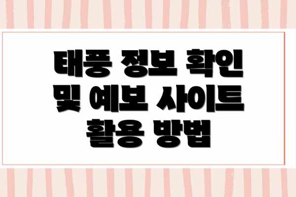 태풍 정보 확인 및 예보 사이트 활용 방법
