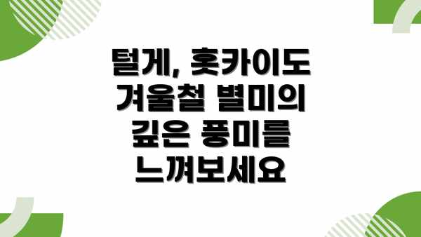 털게, 홋카이도 겨울철 별미의 깊은 풍미를 느껴보세요