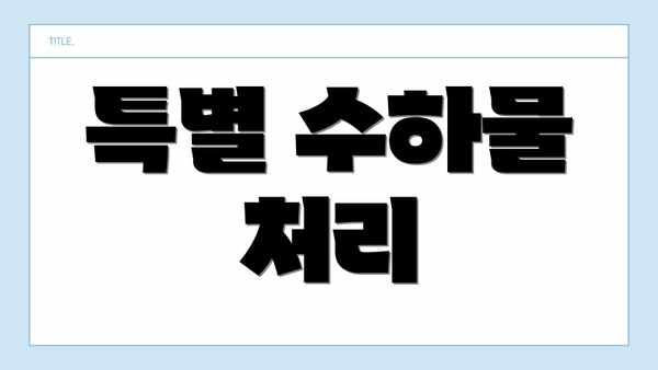 특별 수하물 처리