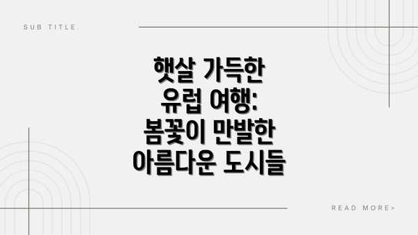 햇살 가득한 유럽 여행: 봄꽃이 만발한 아름다운 도시들