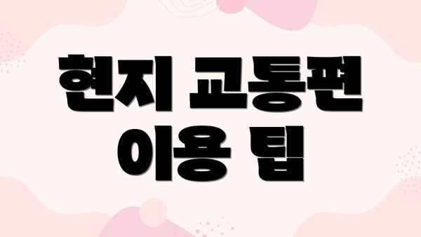 현지 교통편 이용 팁