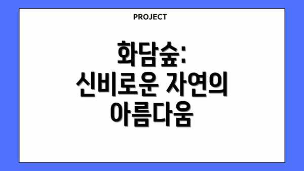 화담숲: 신비로운 자연의 아름다움