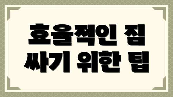 효율적인 짐 싸기 위한 팁