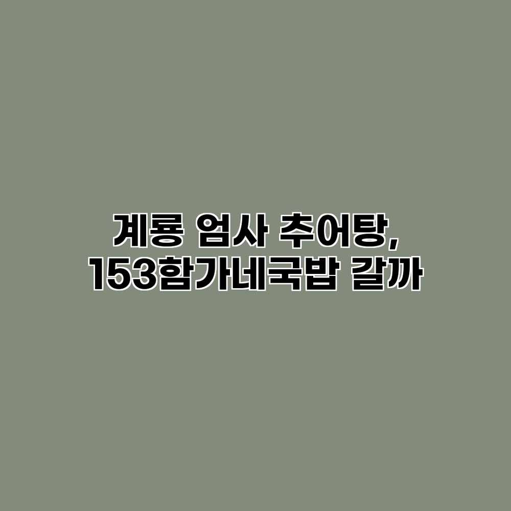 계룡 엄사 추어탕, 153함가네국밥 갈까?