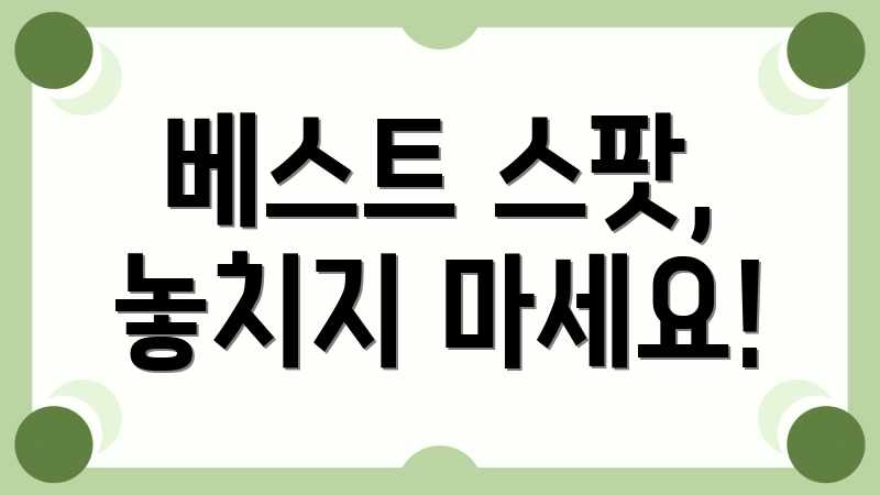 베스트 스팟, 놓치지 마세요!