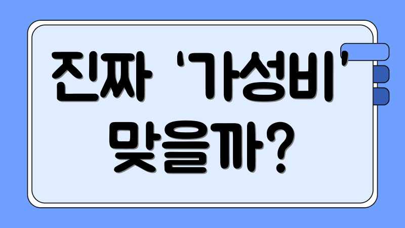 진짜 ‘가성비’ 맞을까?