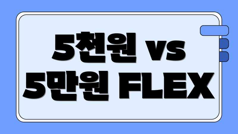 5천원 vs 5만원 FLEX