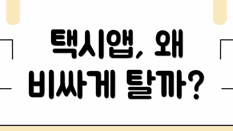 택시앱, 왜 비싸게 탈까?