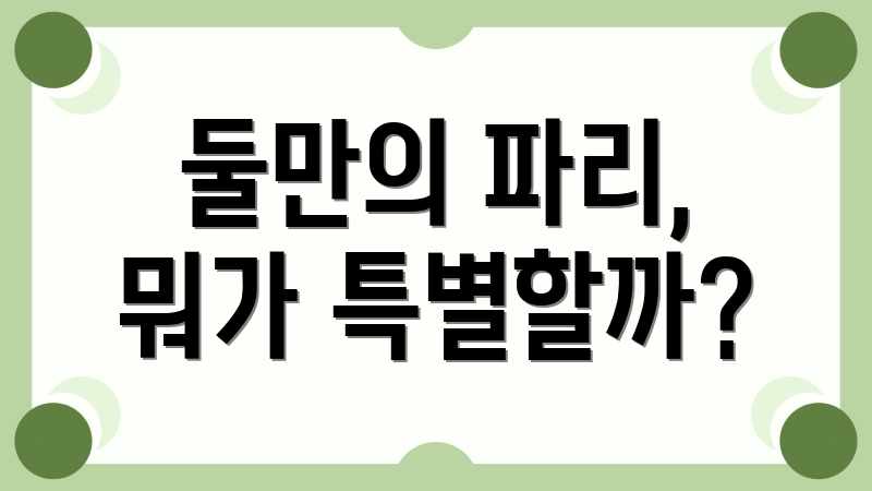 둘만의 파리, 뭐가 특별할까?