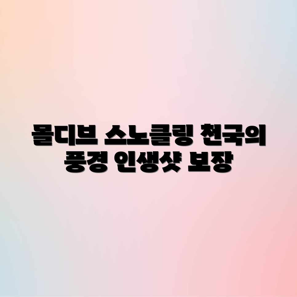 숨막히는 몰디브 스노클링의 놀라운 풍경 숨막히는 몰디브 스노클링의 놀라운 풍경