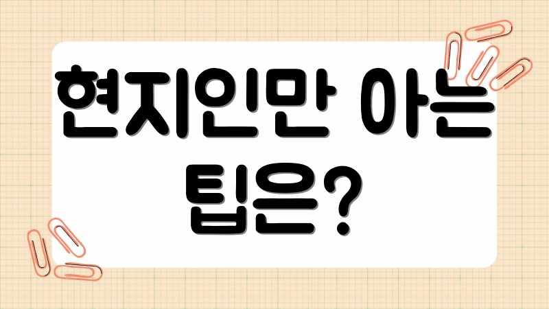 현지인만 아는 팁은?