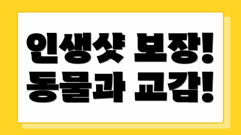 인생샷 보장! 동물과 교감!