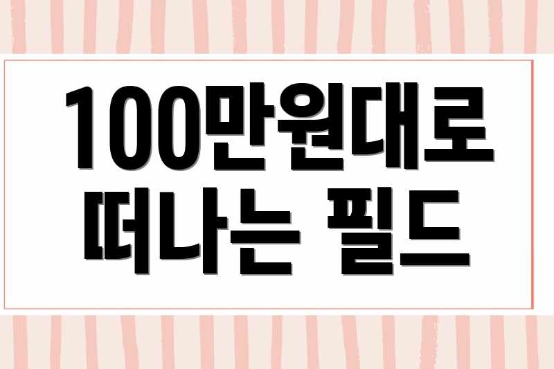 100만원대로 떠나는 필드
