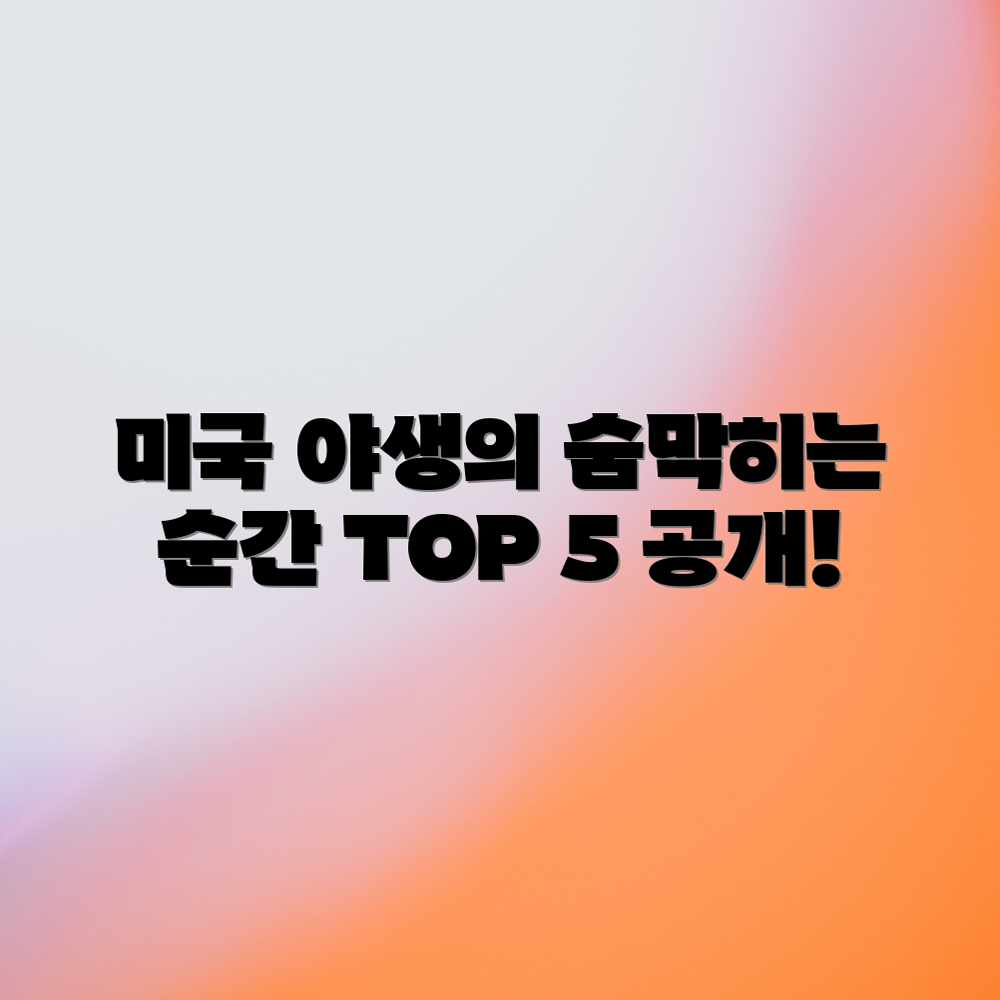 미국 야생동물 사진: 숨 막히는 순간 TOP 5 미국 야생동물 사진: 숨 막히는 순간 TOP 5