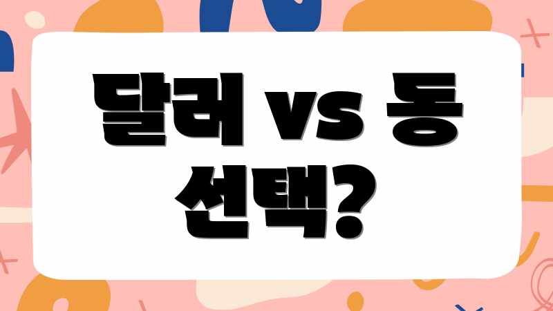 달러 vs 동 선택?