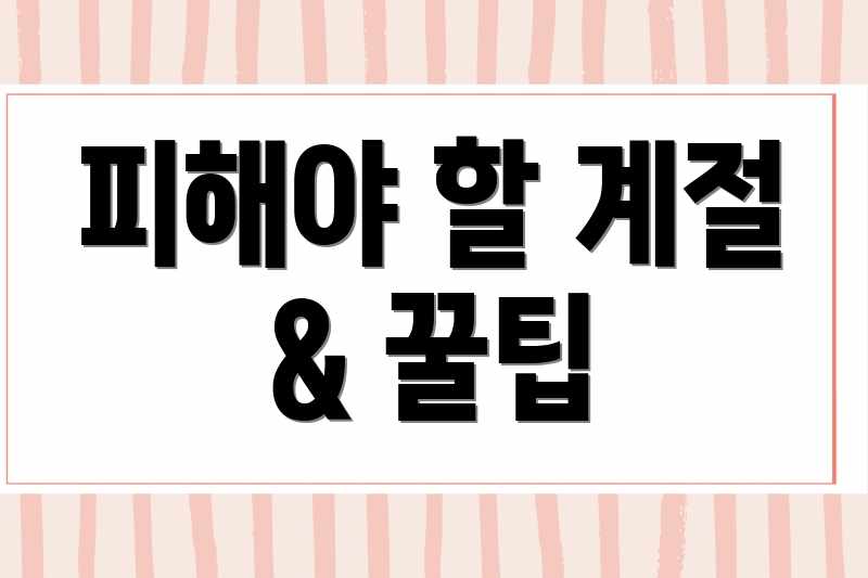 피해야 할 계절 & 꿀팁