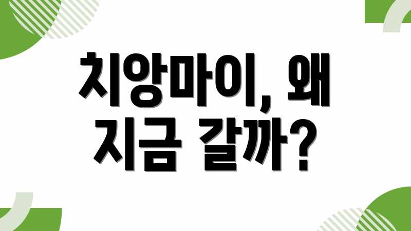 치앙마이, 왜 지금 갈까?