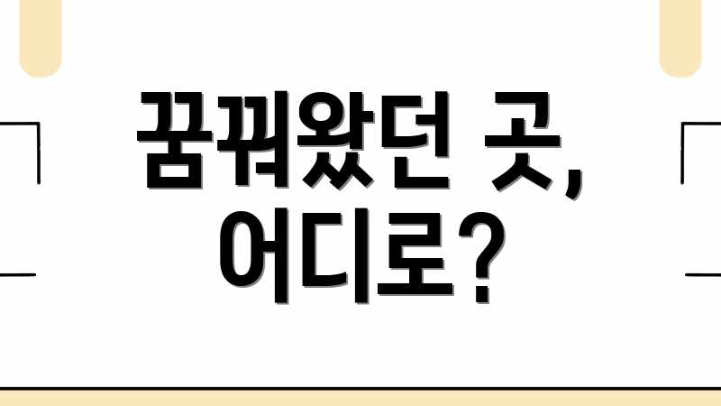 꿈꿔왔던 곳, 어디로?