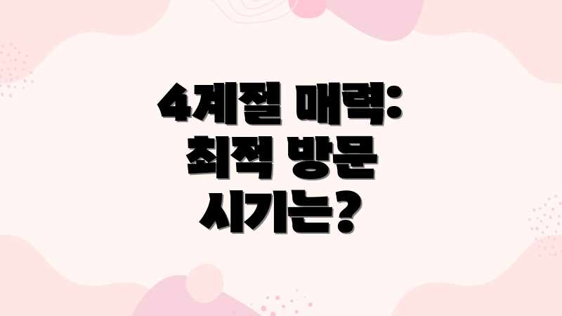 4계절 매력: 최적 방문 시기는?