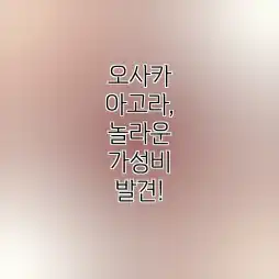 오사카 아고라, 놀라운 가성비 발견! 오사카 아고라, 놀라운 가성비 발견!