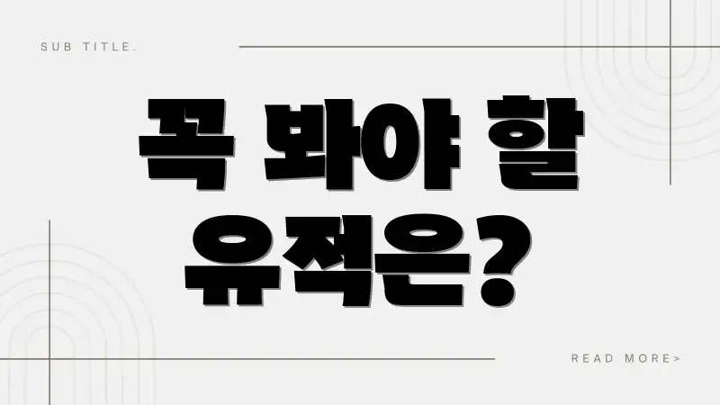 꼭 봐야 할 유적은?