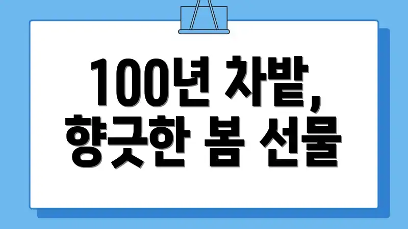 100년 차밭, 향긋한 봄 선물