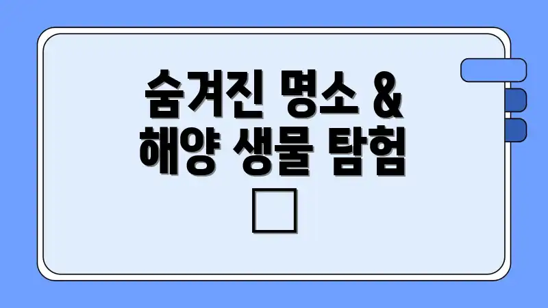 숨겨진 명소 & 해양 생물 탐험 👀