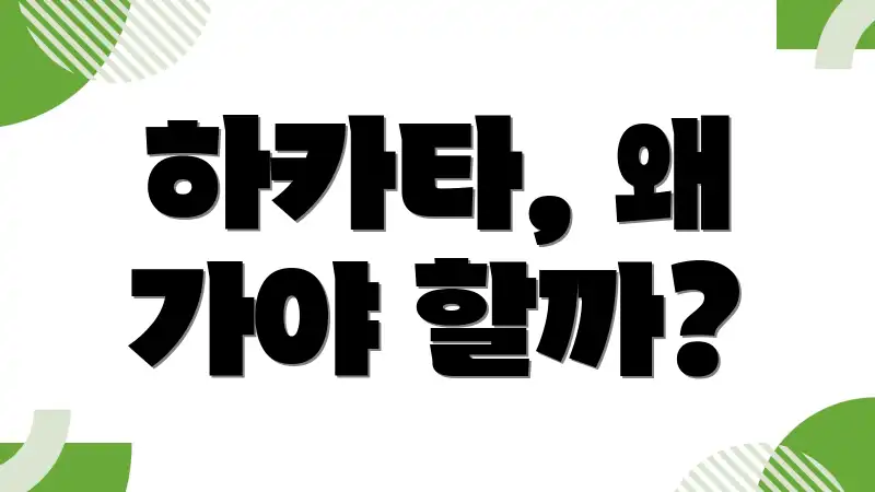 하카타, 왜 가야 할까?