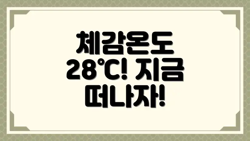 체감온도 28℃! 지금 떠나자!