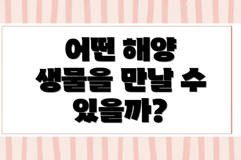 어떤 해양 생물을 만날 수 있을까?