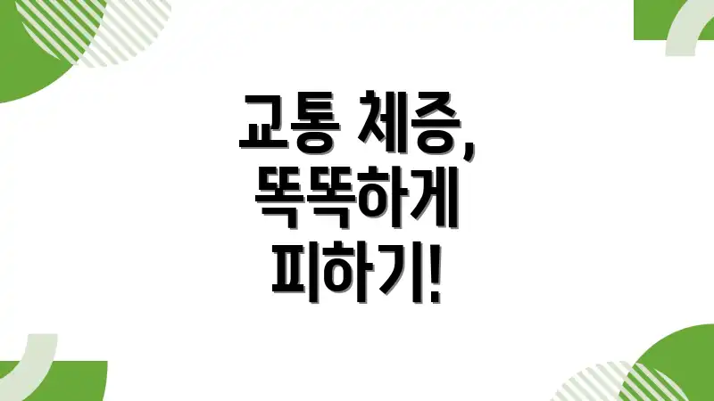 교통 체증, 똑똑하게 피하기!