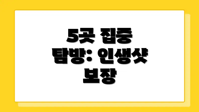 5곳 집중 탐방: 인생샷 보장