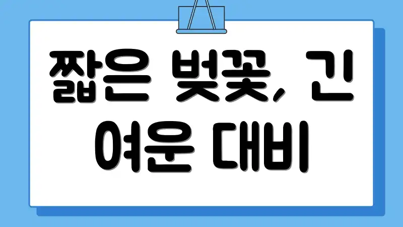 짧은 벚꽃, 긴 여운 대비