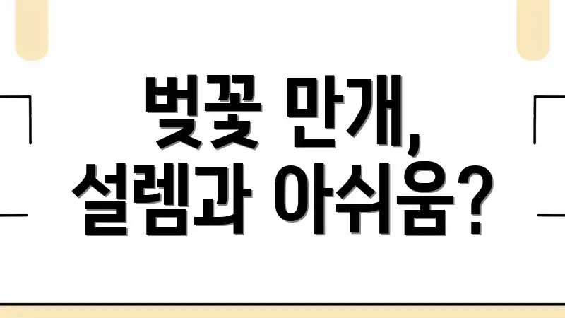 벚꽃 만개, 설렘과 아쉬움?