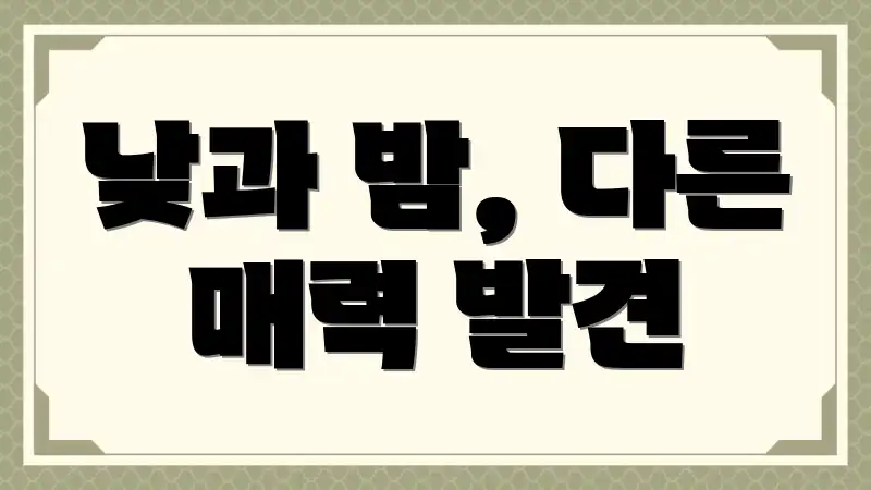 낮과 밤, 다른 매력 발견