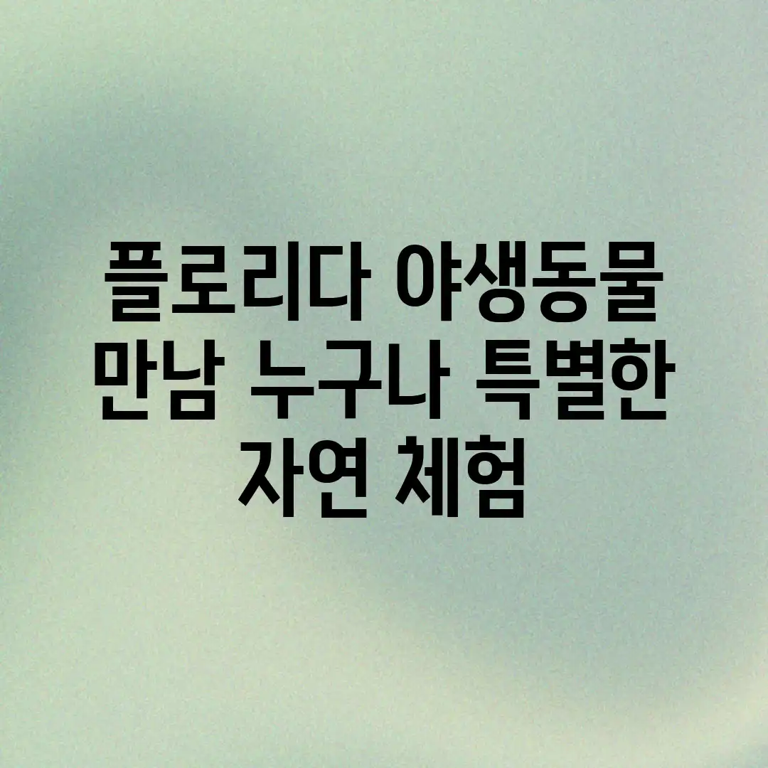 플로리다 야생동물 만남: 누구나 특별한 자연 체험 플로리다 야생동물 만남: 누구나 특별한 자연 체험