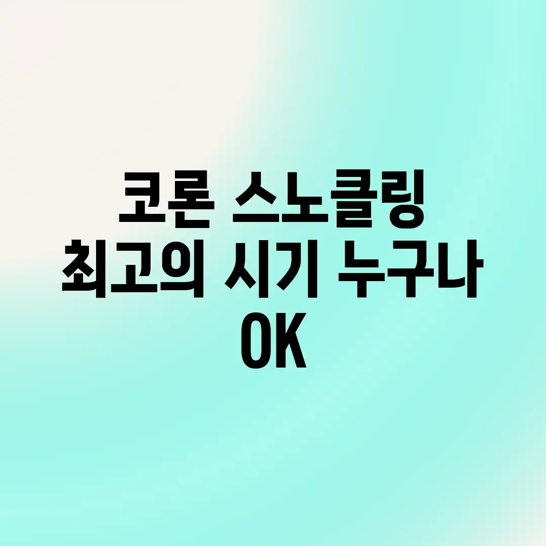 코론 스노클링, 최고의 시기? 누구나 OK! 코론 스노클링, 최고의 시기? 누구나 OK!
