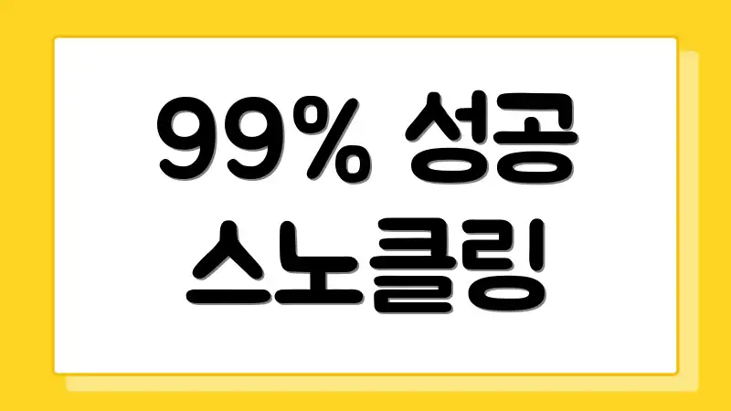 99% 성공 스노클링