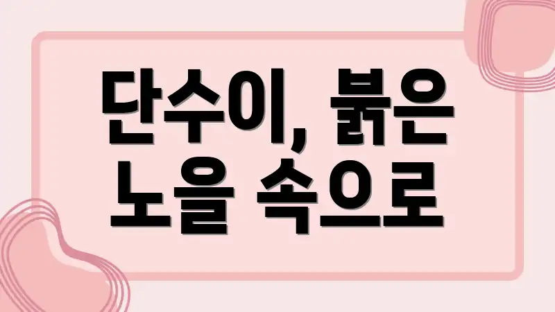 단수이, 붉은 노을 속으로